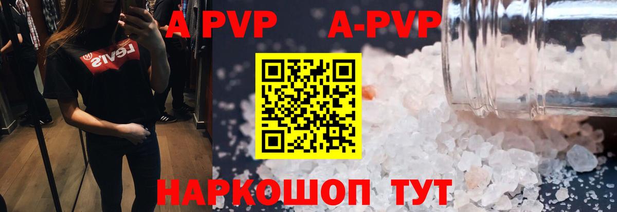 A PVP СК КРИС Сыктывкар