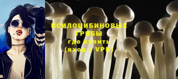 твердый Куйбышев