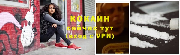 твердый Куйбышев