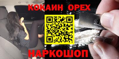 гидра Камышлов