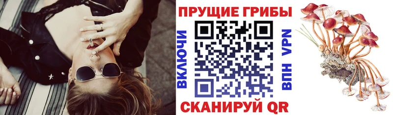 Галлюциногенные грибы мухоморы  даркнет сайт  сайты даркнета телеграм  Сыктывкар 