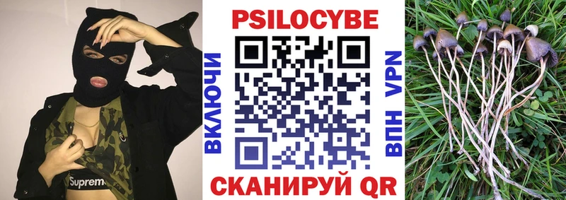 Псилоцибиновые грибы прущие грибы Сыктывкар