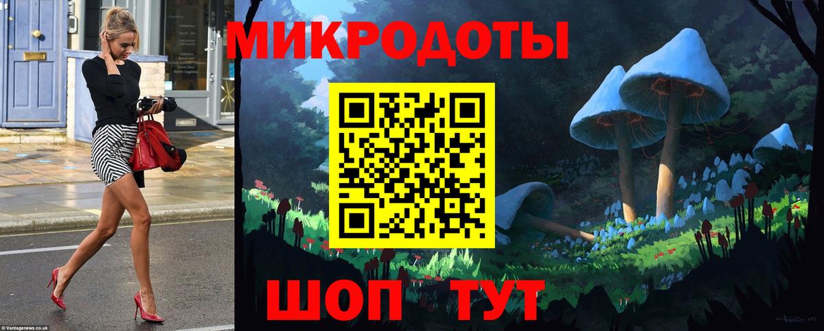 Псилоцибиновые грибы Cubensis Сыктывкар