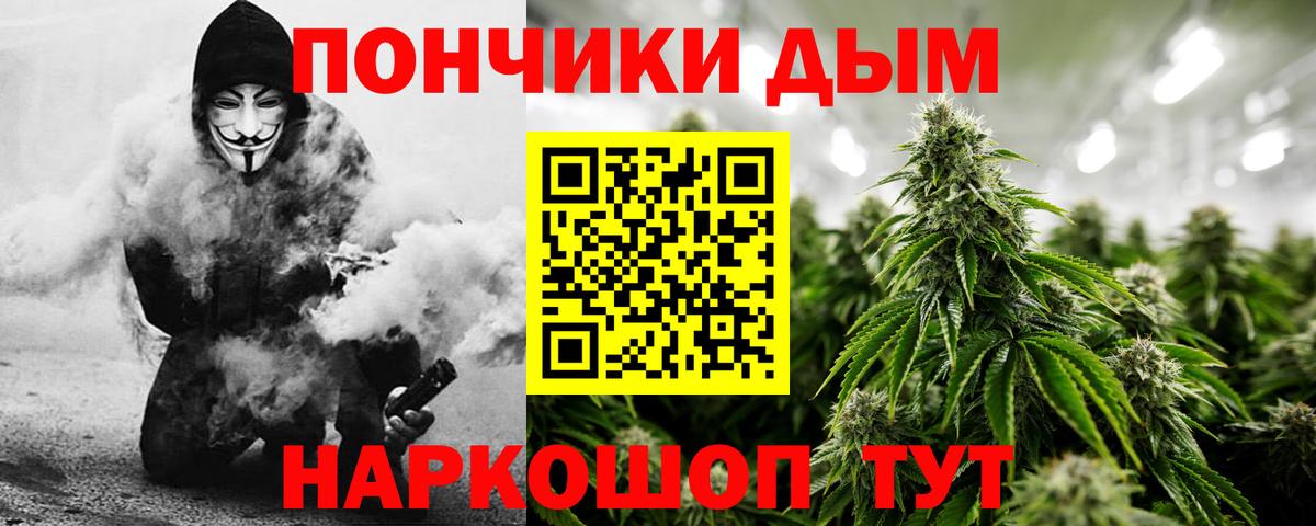 Бошки марихуана White Widow  Конопля план  Сыктывкар 
